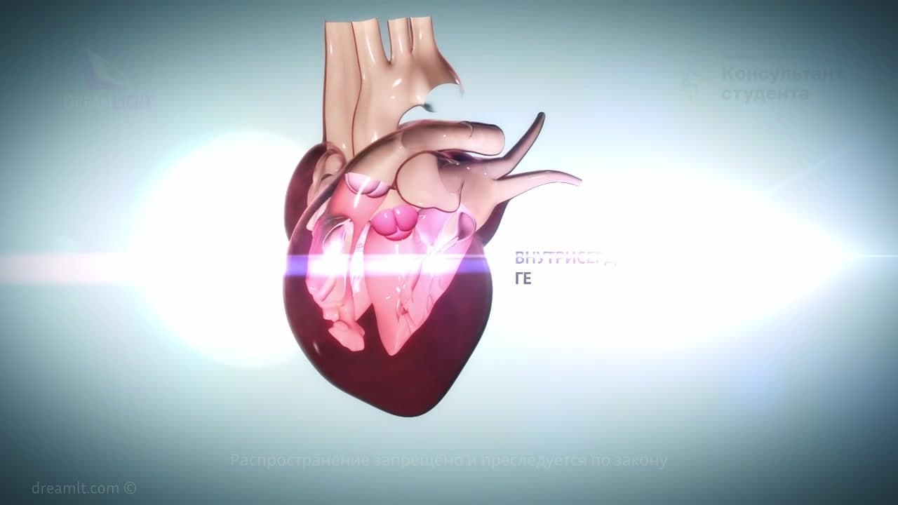 Недостаточность клапана аорты - этиология, патогенез, клинические проявления и физикальные данные