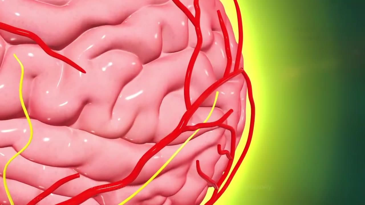 Цереброваскулярные болезни