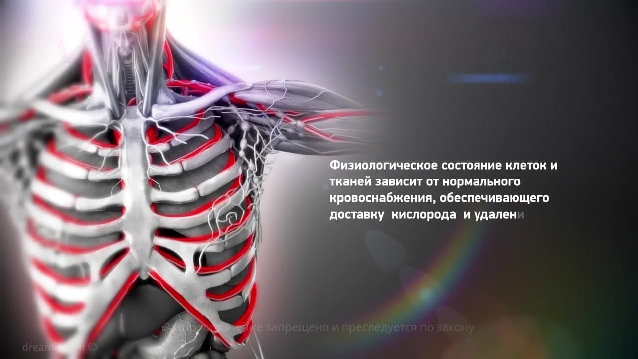 Нарушения кровообращения и лимфообращения