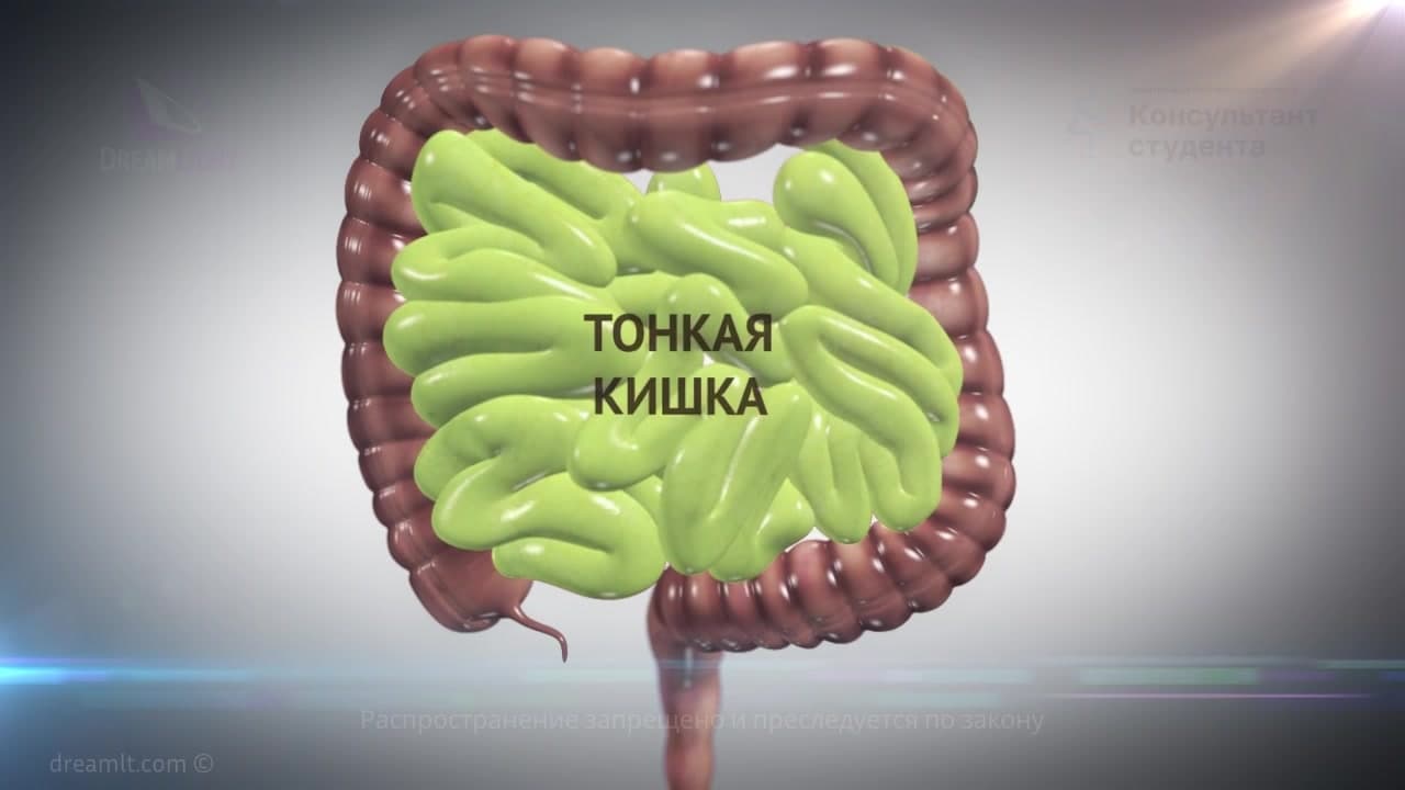 Рак толстой кишки