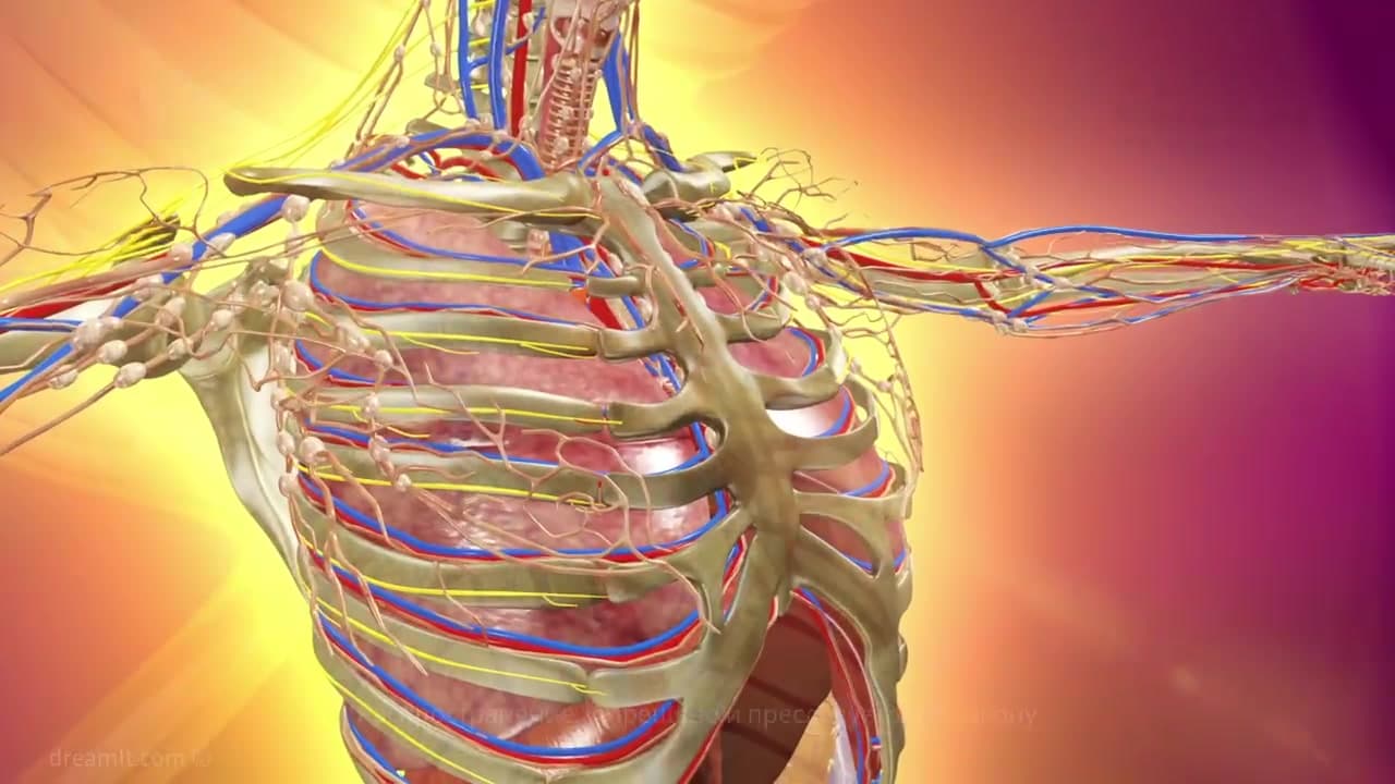 Гипертоническая болезнь