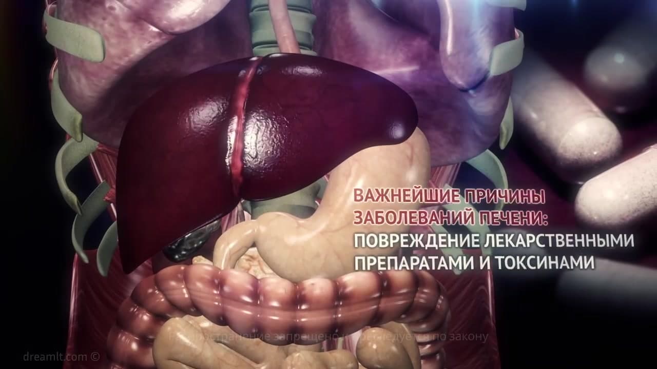 Болезни печени