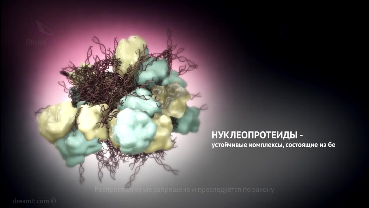 Нарушения обмена нуклеопротеидов и минералов