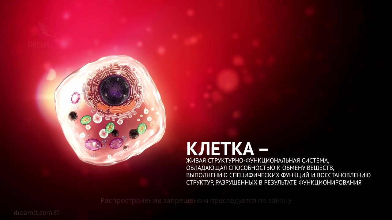 Патология клетки